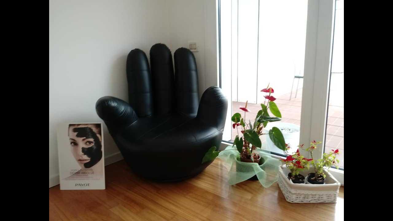 Evergreen s.r.l. · Foto 4